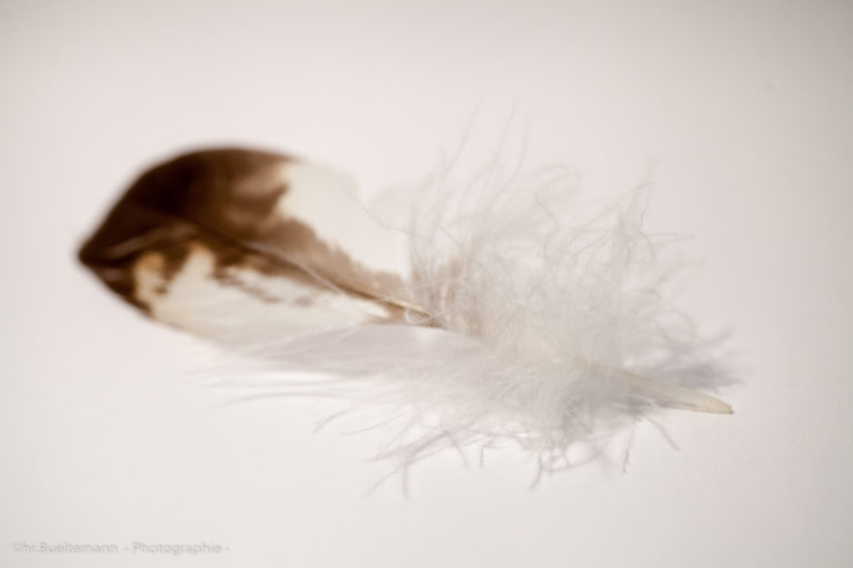 Island dancers win big in the competition circuit