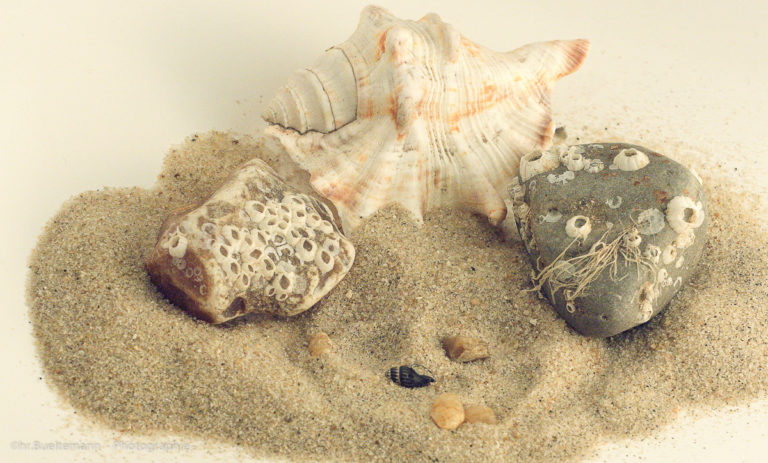 Know About The Beautiful Indian Dance Forms