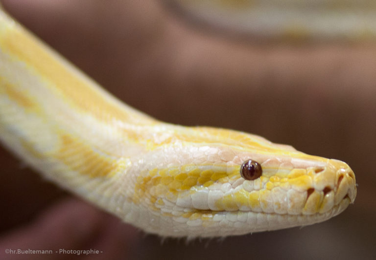 Giants playoff, Super Bowl odds drop after ugly Week 1 loss