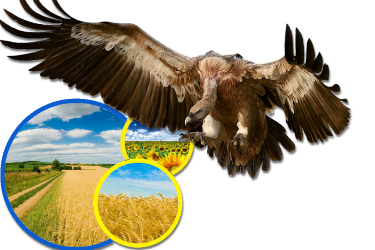 Die beste Demokratie der Welt™: Gebrauchsanweisung für das richtige Denken