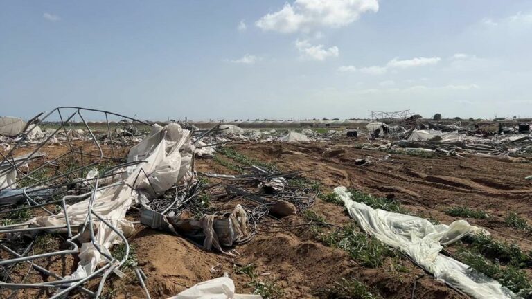 “Hier sind doch nur Felder” – Israel attackiert Landwirtschaft in Gaza
