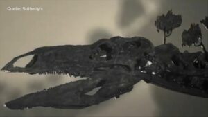 Fast 45 Millionen Dollar: Dino-Skelett bringt Rekordsumme ein