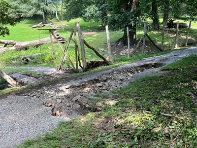 Tierpark Sababurg bleibt weiterhin geschlossen – Mittelalterliches Spektakulum abgesagt