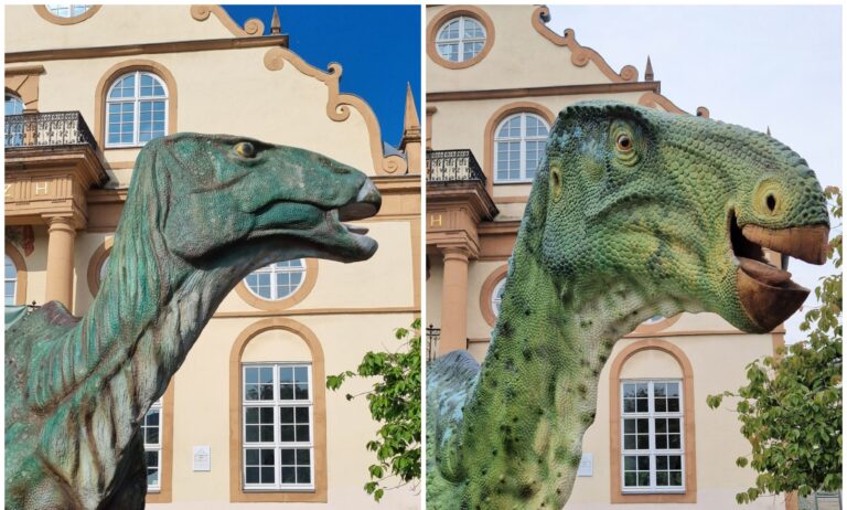 Iguanodon vorm Naturkundemuseum erstrahlt im neuen Glanz