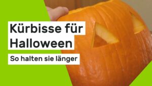 Halloween: So halten Kürbisse länger