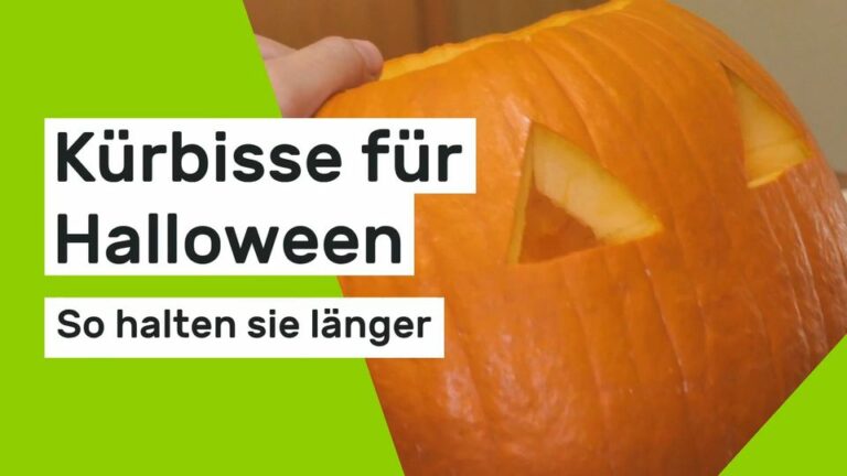 Halloween: So halten Kürbisse länger