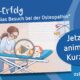 Premiere: Animierter Kurzfilm zum ersten Pixi-Buch über Osteopathie