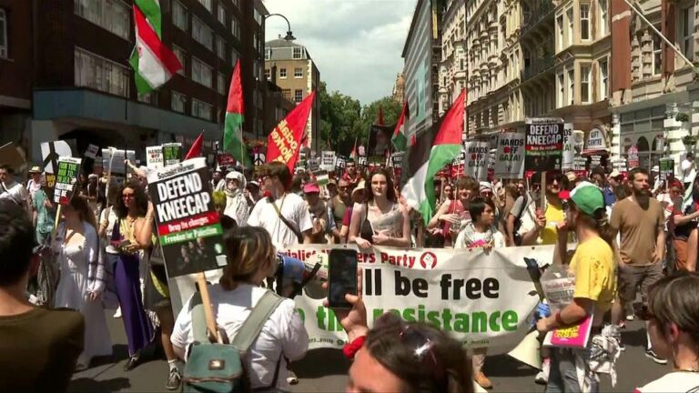 Thousands in London take part in demonstration in support of Palestinians