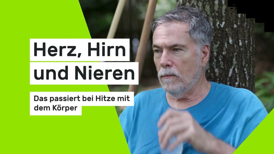Herz, Hirn und Nieren: Das passiert bei Hitze mit dem Körper