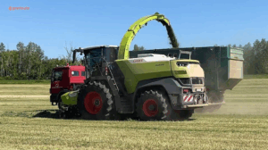 Screenshot 2025 08 15 074938