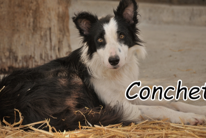 Screenshot 2025 08 16 060601