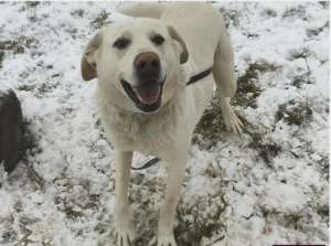 Screenshot 2025 08 30 204747