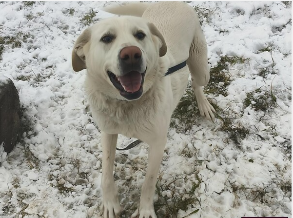 Screenshot 2025 08 30 204747