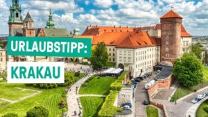 profile player 960x540 14