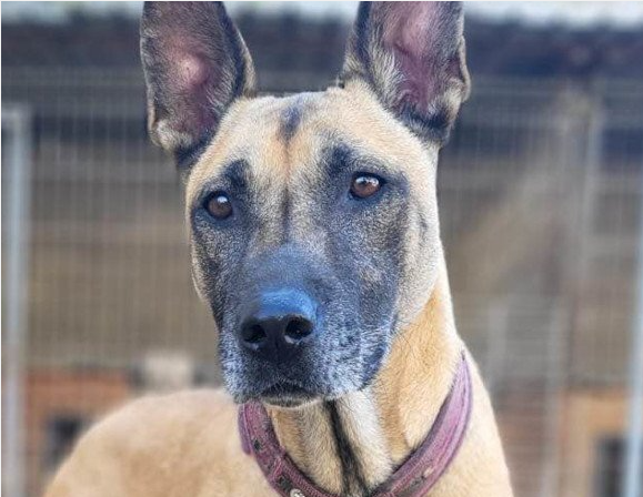 Screenshot 2025 09 06 132128