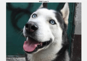 Screenshot 2025 09 20 073517