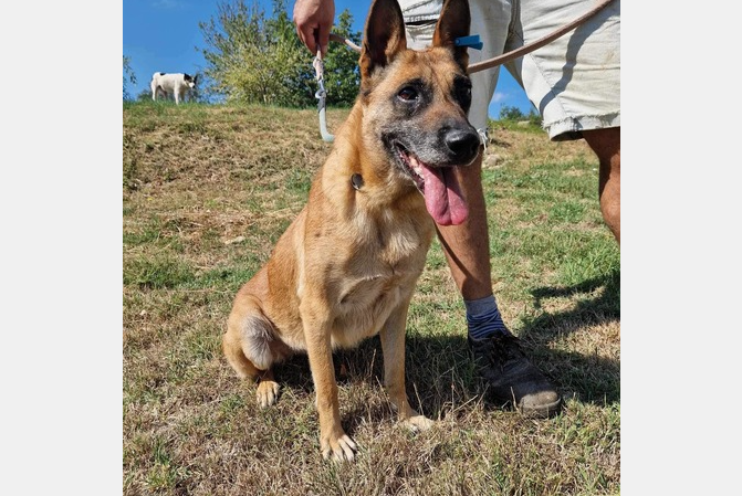 Screenshot 2025 09 20 074220